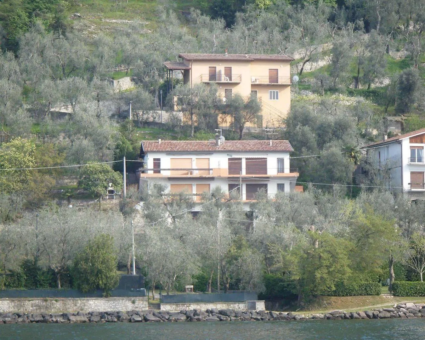 Villa Olivo Campo